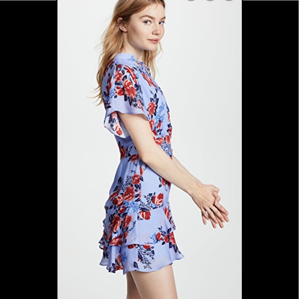 Parker Ny Silk Blue Floral Dress, 4